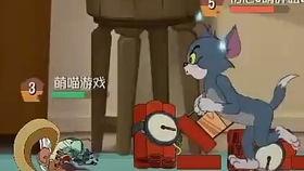 最新爆料老鼠视频播放,最新老鼠视频曝光，触目惊心现场直击  第1张